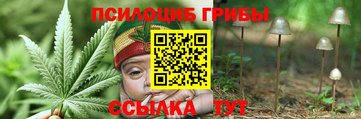 Строитель  Псилоцибиновые грибы Psilocybine cubensis  Псилоцибиновые грибы Psilocybine cubensis  где можно купить наркотик  Вход с VPN 